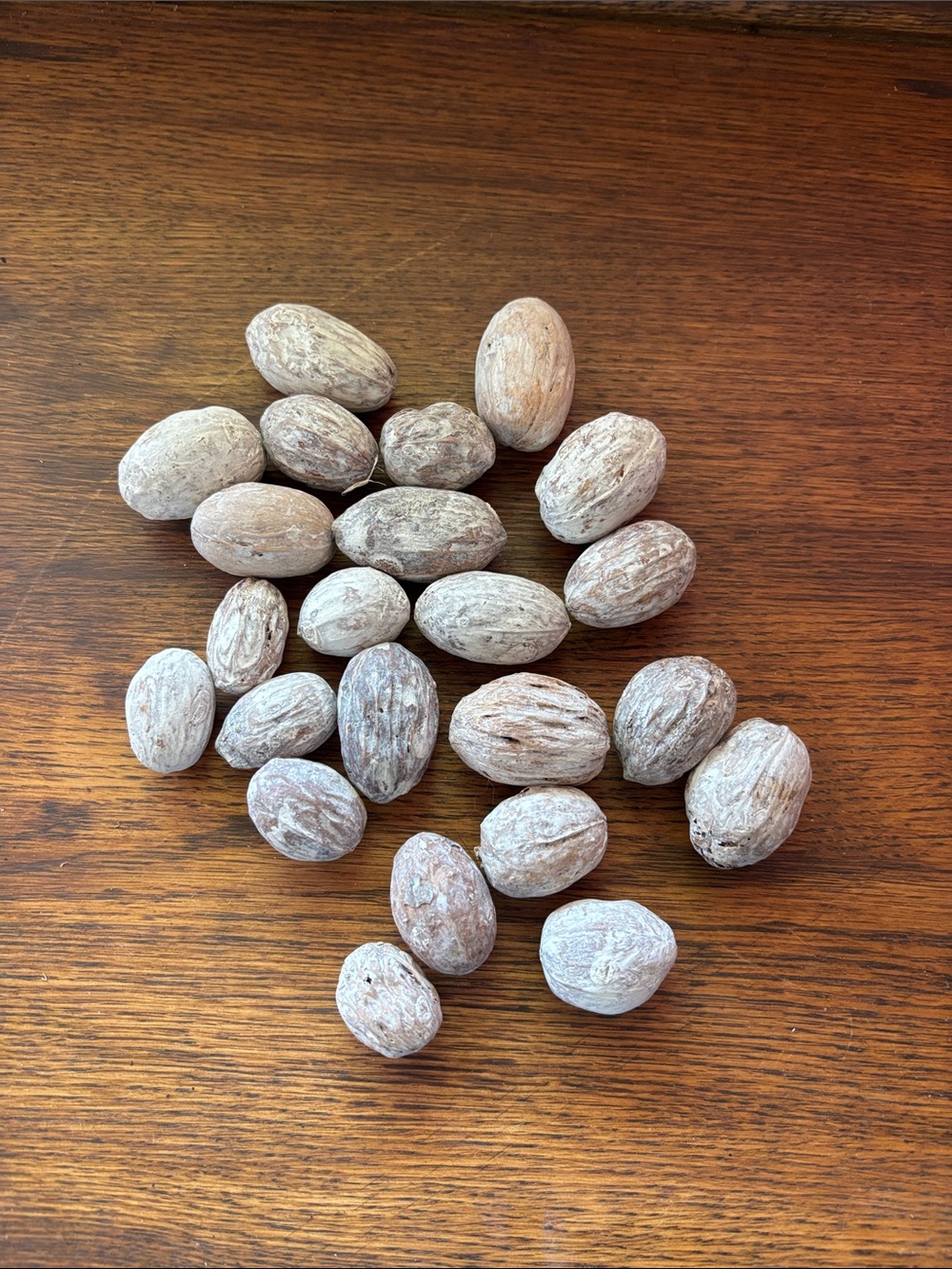 Natural Reptile Habitat Tumbled Wood Eggs for Center Piece Bowls - Gray